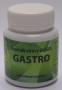 GASTRO